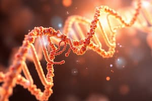 RNA Structure and Function