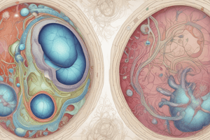 Embryology: Germ Layers and Regulative Development