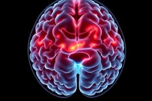 Transient Ischemic Attack and Stroke Overview