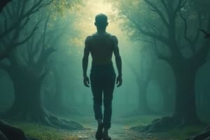 Cinéma direct: plusieurs tendances