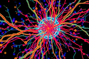 Microtubule Dynamics and Structure Quiz