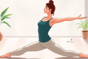 Middle Splits Routine Overview