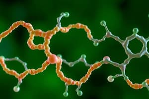 Biochemistry: Proteins and Carbohydrates