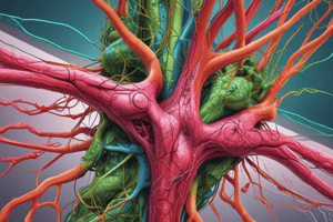 Lymphatic System Overview