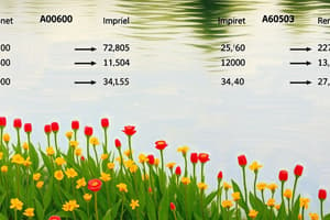 Measurement Conversions Quiz