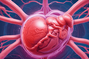 Ectopic Pregnancy and Placenta Previa: Causes, Diagnosis, and Treatment