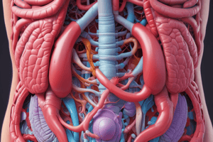 Digestive System Chapter 23: Overview Quiz