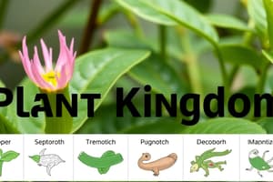 Plant Kingdom Overview