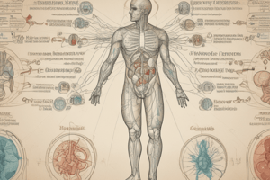 Endocrine System Quiz