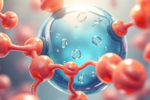 Phospholipids and Their Biological Roles