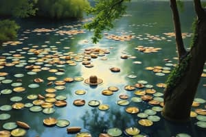 Microbial Clean-up: Manipulation and Failures