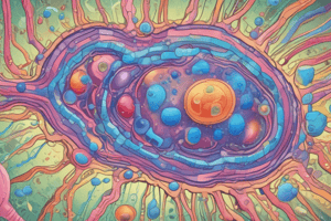 Cell Membrane Transport