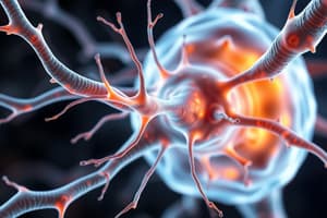 Neuroscience Overview: Nerve Functions