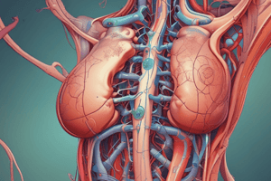 Reproductive System Module 12