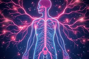 The Autonomic Nervous System Overview