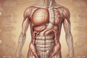 Gastrointestinal Pharmacology: Stomach Anatomy and Function