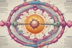 Chapter 7 Objectives: Understanding Cancer