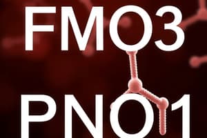 FMO3 and PON1 Enzymes: Function and Polymorphisms