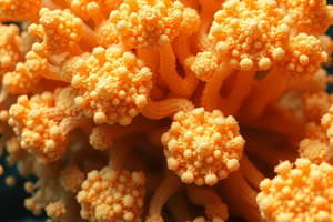 Introduction to Sponges and Cell Types