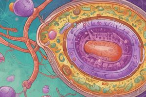 Bacterial Cell Structure and Components