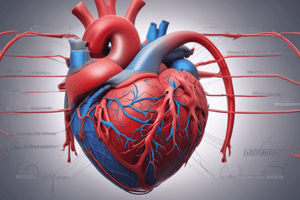 Cardiac Cycle Overview