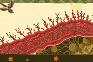 Fundamentals of Human Biology: Cell Structure