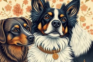 Dog Breeds Quiz: Types and Traits