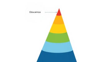 Bruner's Learning Stages and Cone of Experience