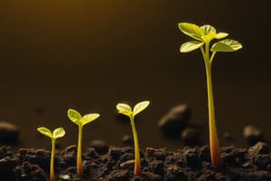 Seed Germination and Seedling Development