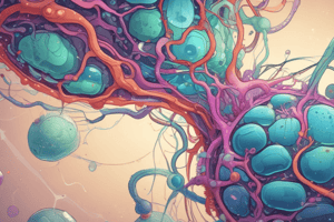 Prokaryotes vs Eukaryotes Cells