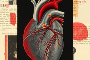 Diagnostic Studies Catheterization and angiography