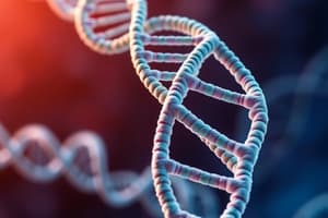 Prokaryotic DNA-Binding Proteins and HTH Motif