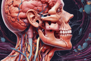 Pituitary Gland and its Relation to the Hypothalamus Quiz