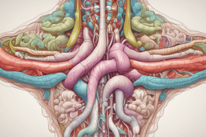 Digestive Tract: Introduction