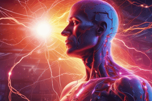 Electricity Accidents in the Human Body