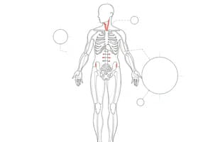 Il bilancio degli H+: pH e regolazione (Fisiologia 107)