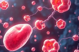 Cholesterol Structure and Function