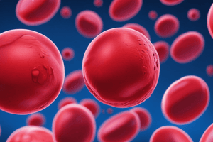 Red Blood Cells (RBCs) Functions and Production