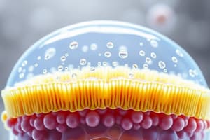 Cell Biology: Plasma Membrane Structure