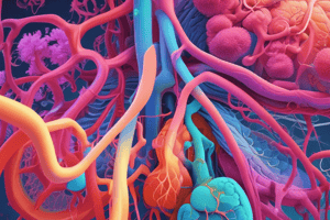 Structure of Lungs and Gas Exchange