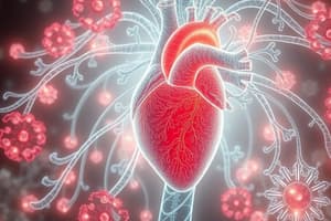 Cardiovascular Pharmacology Quiz