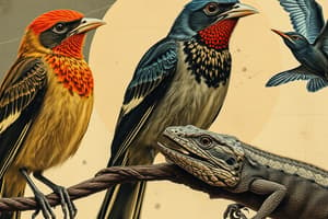 Birds and Reptiles Overview