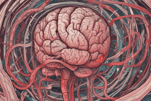 Enfermedad Vascular Cerebral Aguda (ICTUS)