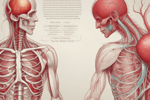 Lecture 13: Circulation