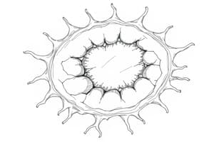 Metaplasia Overview and Mechanisms