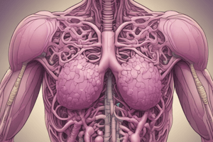 Thymus Development and Function