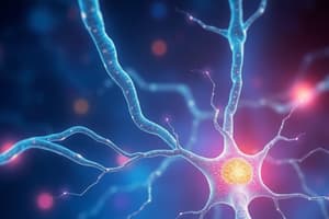 Neuroscience: Synapses and Action Potentials