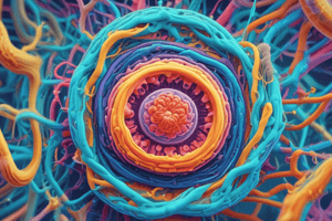 Cellular Transport and Microtubule Structure Quiz