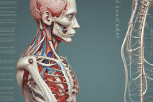 Anatomy LE 1: Upper Limb: Nerve Supply