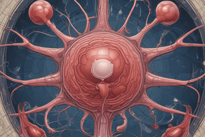 Hematopoietic and Lymphoid Systems Chapter 9